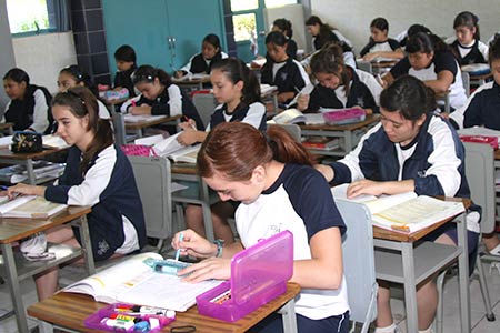 Área académica secundaria